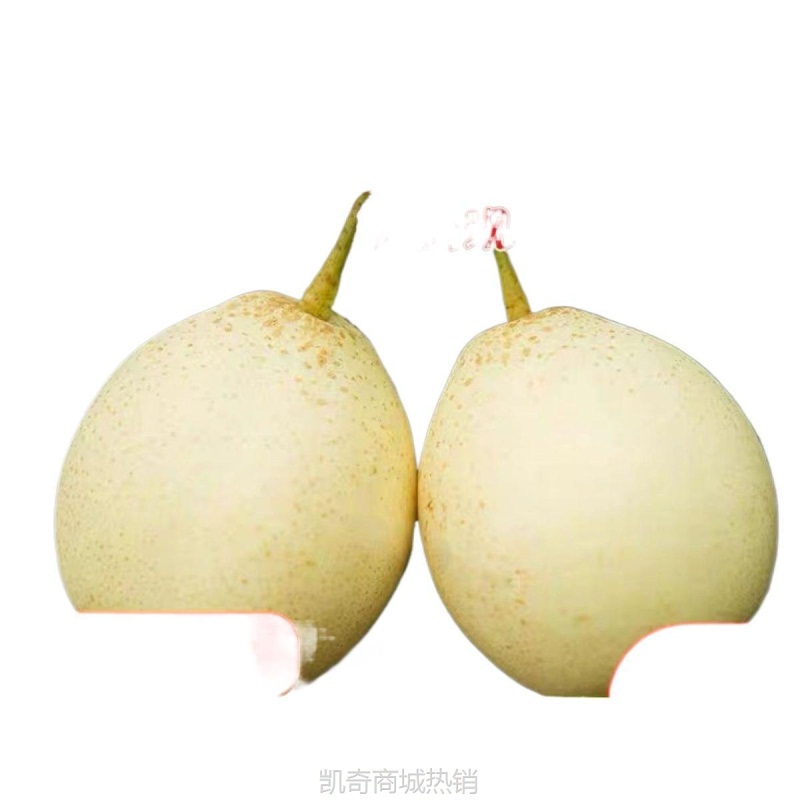 【包邮】河北鸭梨//斤装当季新鲜水果批发梨子皇冠梨雪花梨水晶梨