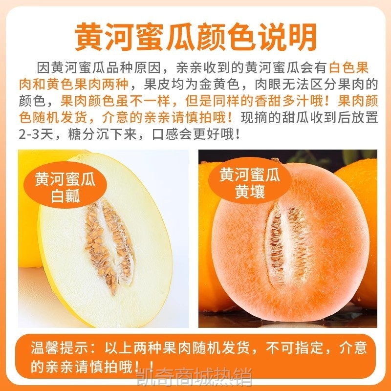 黄河蜜甜瓜新鲜水果应当季整箱包邮黄金脆香瓜哈密瓜斤甘肃民勤10