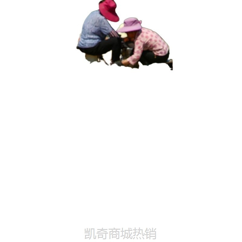 土豆低价包邮批发洋芋挖白皮蔬菜马铃薯白心农家自种现新鲜
