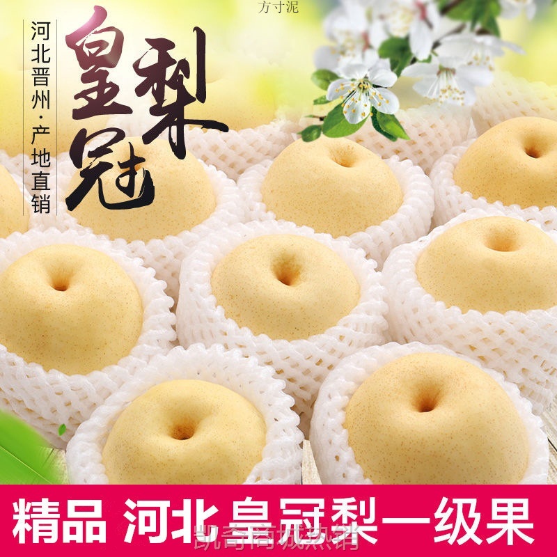 非斤5砀山梨10皇冠梨代发3整箱斤酥梨新鲜水果当季雪梨梨子斤河北