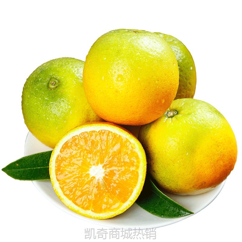 高山秭归夏橙榨汁橙新鲜当季水果高山橙子现摘现发批发产地直供