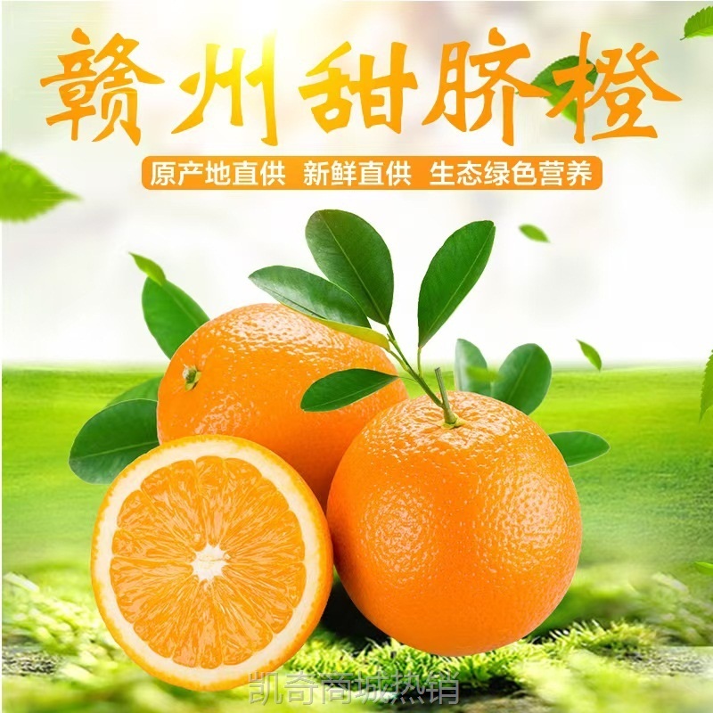 【赣州果园直供】正宗赣南脐橙应季新鲜薄皮橙子超市供应整箱批发