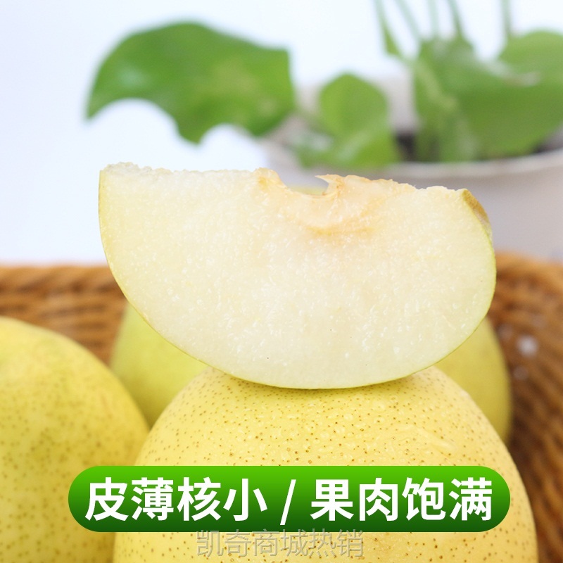 砀山梨梨子新鲜水果10斤整箱包邮当季贡酥香梨白甜梨青梨皇冠雪梨