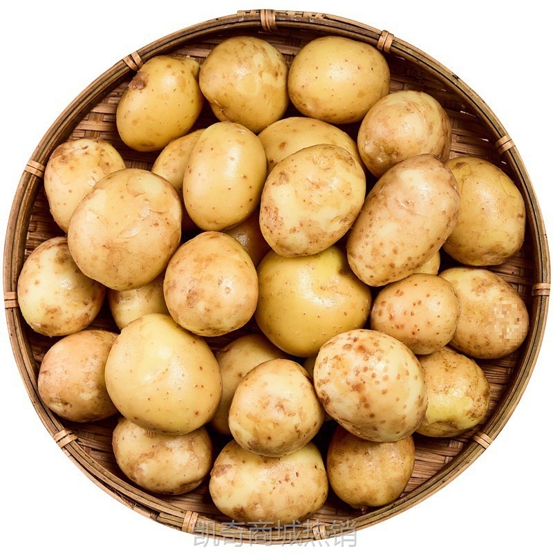 恩施小土豆10斤包邮富硒新鲜洋芋迷你黄心士豆湖北马铃薯蔬菜