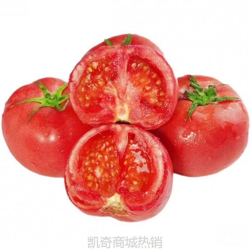 普罗旺斯西红柿批发沙瓤新鲜番茄生吃现摘水果普罗旺斯自然季整箱