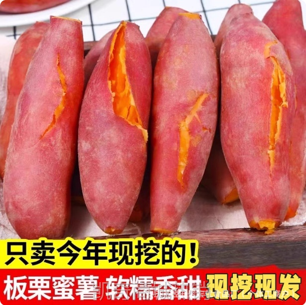 沙地蜜薯新鲜红薯3/5/9斤农家香甜薯板栗黄心烤地瓜糖心番薯山芋