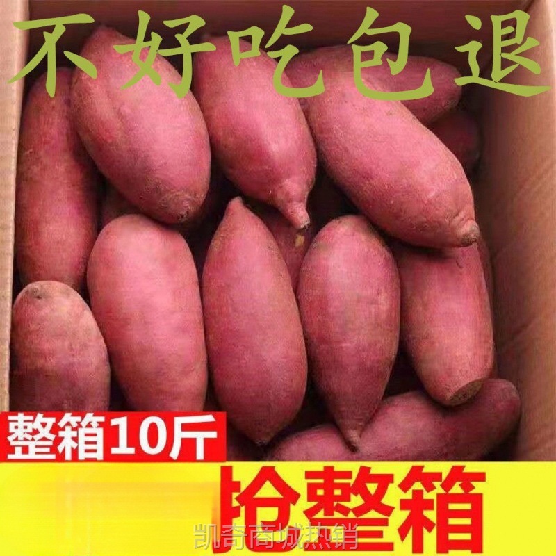 蜜超甜农科院批发番薯糖心产地流油红薯新鲜地瓜直发沙地蜜薯