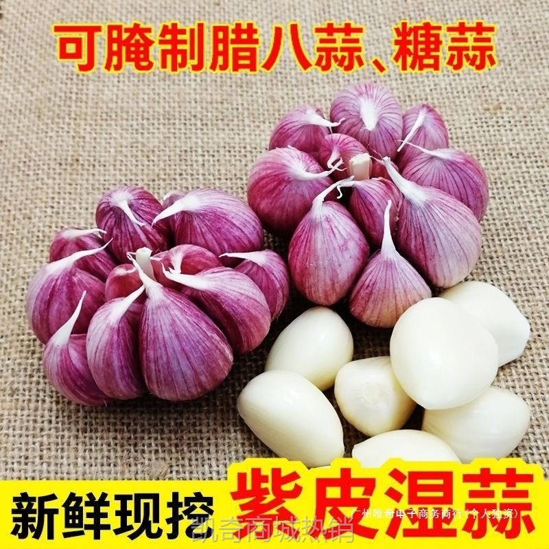 【特价】2025现挖新蒜杞县紫皮大蒜头腌制糖蒜醋蒜新鲜红白皮大蒜