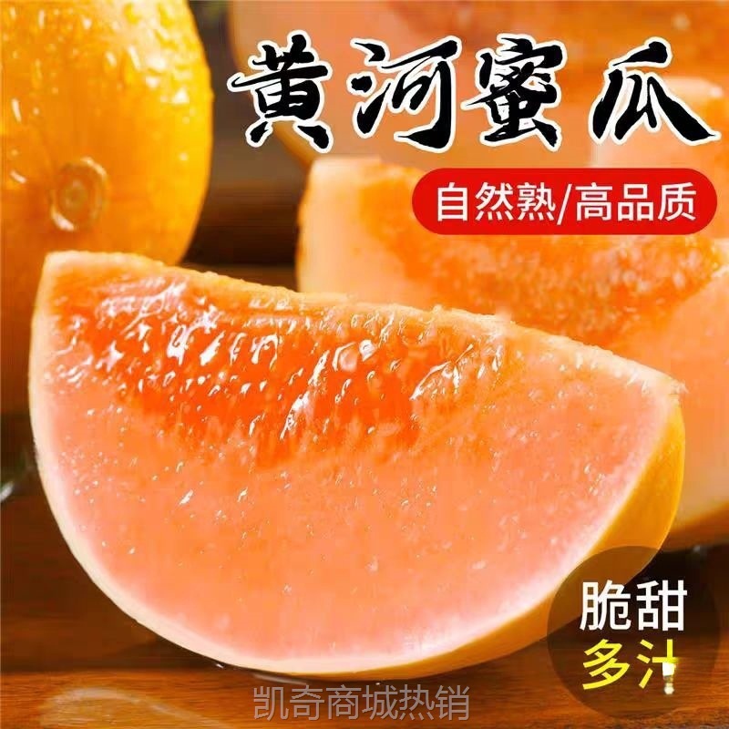 黄河蜜瓜新鲜水果当季水果冰糖网纹哈密瓜香甜瓜雪里红无