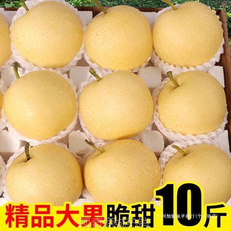 新鲜梨子河北皇冠梨10斤整箱包邮当季水果现摘砀山皇冠梨5斤雪梨