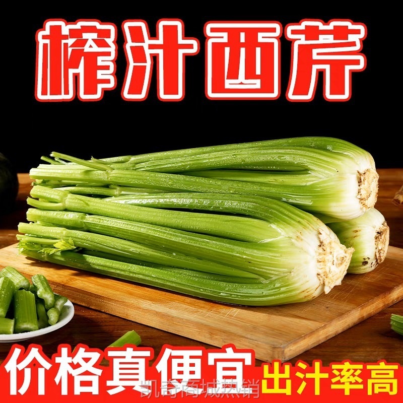顺丰包邮    新鲜水果西芹现挖现发大颗西芹可榨汁生吃凉拌