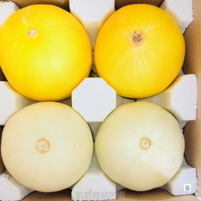黄河蜜瓜新鲜水果当季水果冰糖网纹哈密瓜香甜瓜雪里红无