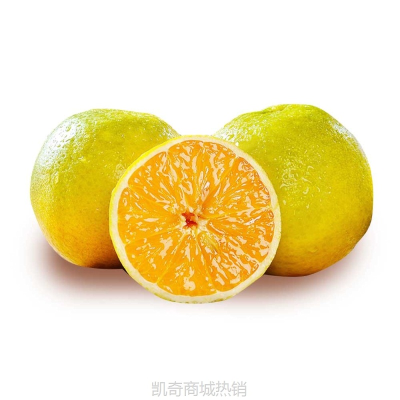 高山秭归夏橙榨汁橙新鲜当季水果高山橙子现摘现发批发产地直供