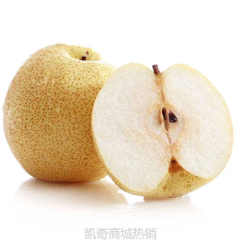 砀山酥梨新鲜梨子当季现摘安徽汤山梨包邮梨子一件代发