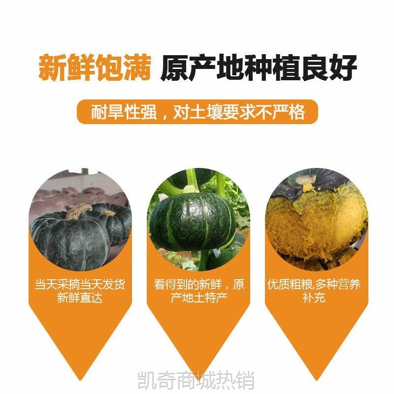 贝贝南瓜新鲜板栗味5斤包邮宝宝辅食南瓜 农家种植蔬菜 一件代发