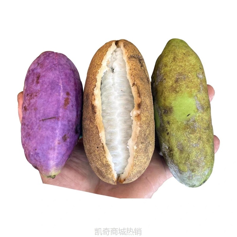 贵州八月瓜水果新鲜八月炸深山野果当季罕见网红8月炸牛卵坨九月