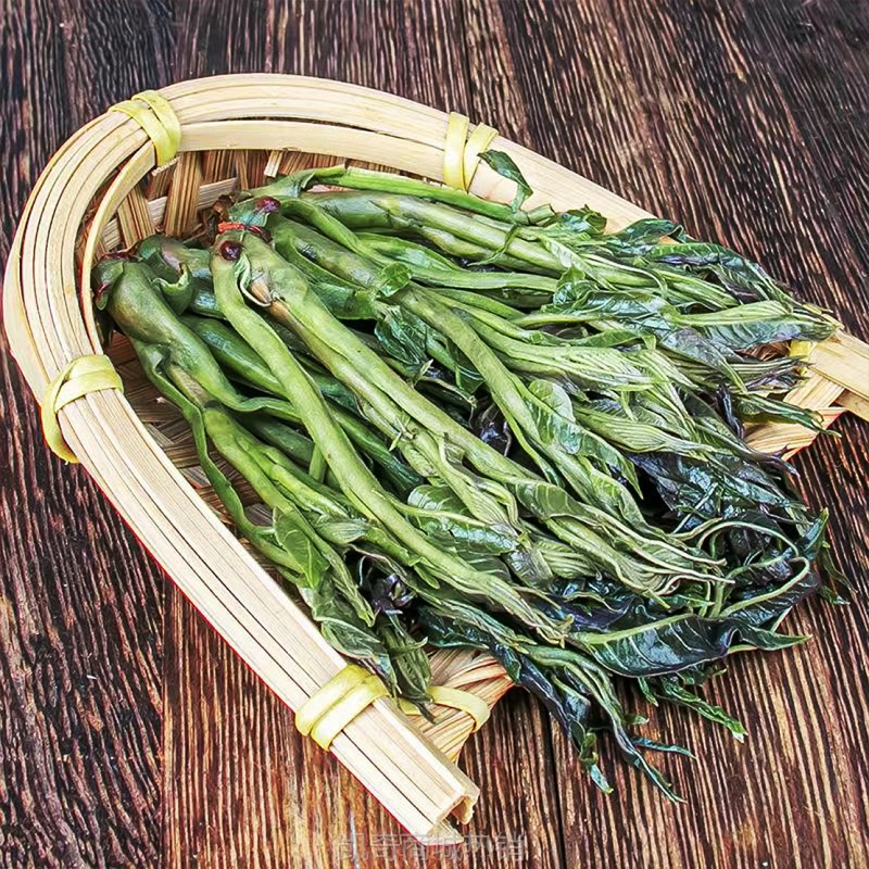 香椿芽咸菜山东特产香椿芽下饭菜新鲜农家腌制盐渍香椿酱菜咸菜