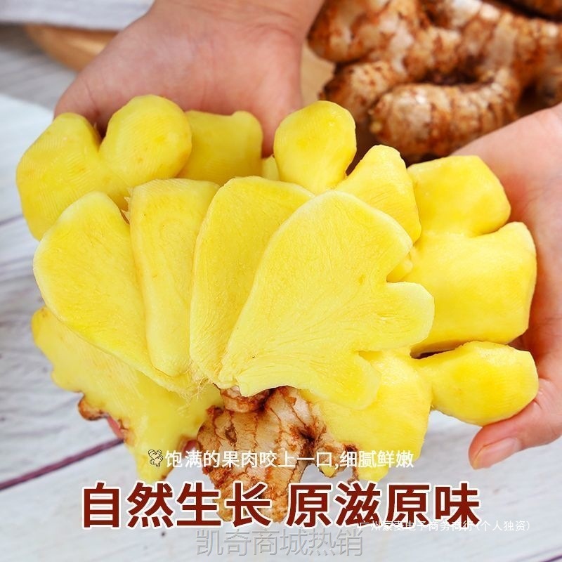 农家自种云南小黄姜新鲜现挖黄姜生姜正宗老姜嫩姜月子整箱芋头