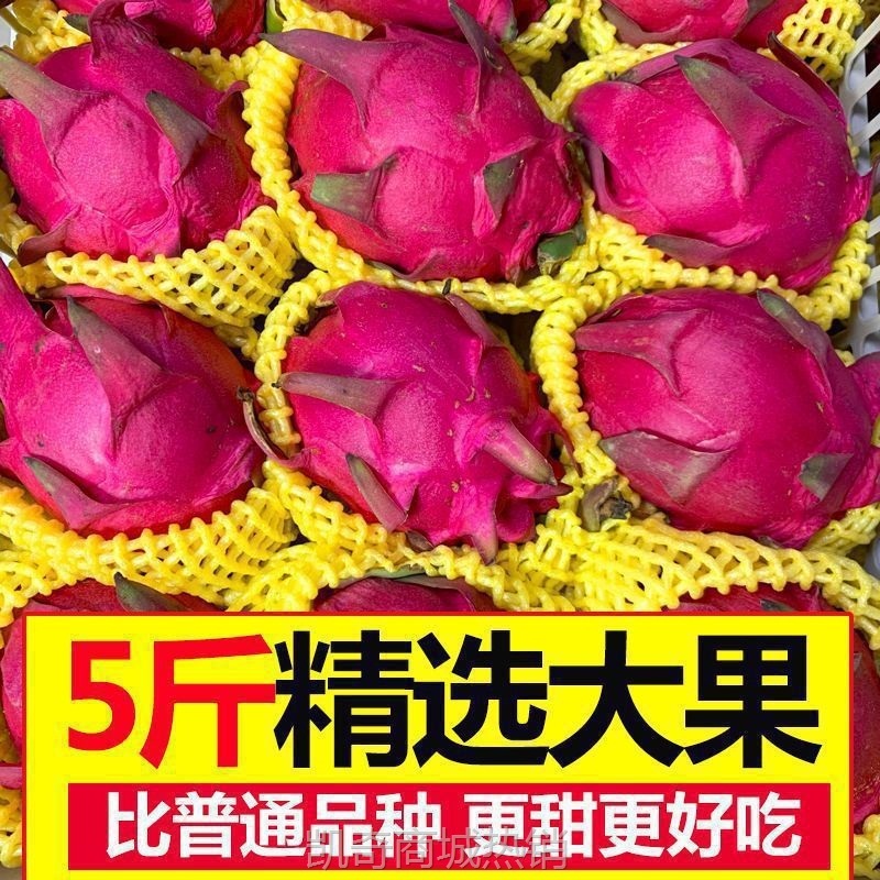 红心火龙果超甜当季 红肉新鲜直供应季热带水果批发整箱