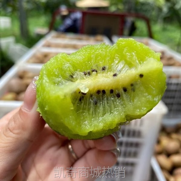 绿心猕猴桃新鲜孕妇水果应季整箱绿心奇异果对接电商直播产地直发