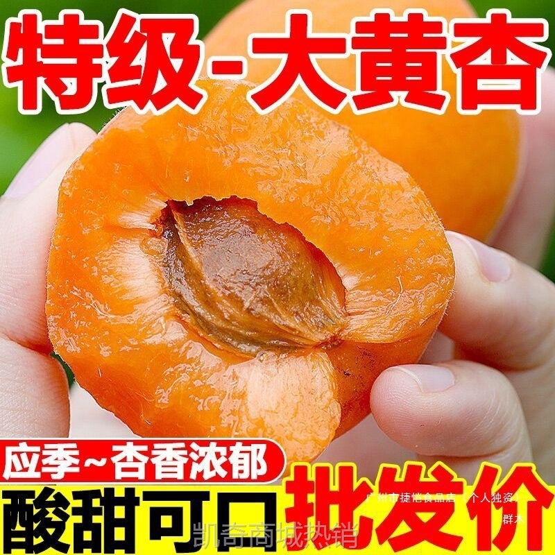 杏子水果新鲜现摘应当季酸甜大黄杏贵妃甜杏整箱批发酸杏非青杏无