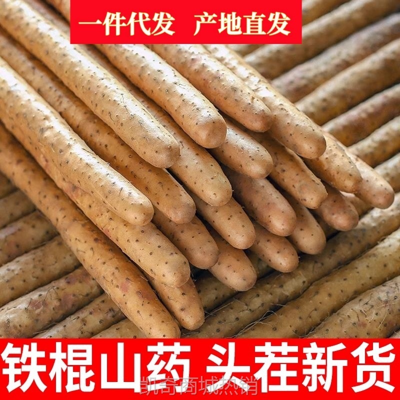 正宗铁棍山药5斤新鲜小白嘴山药铁杆淮山10斤非温县垆土一件代发
