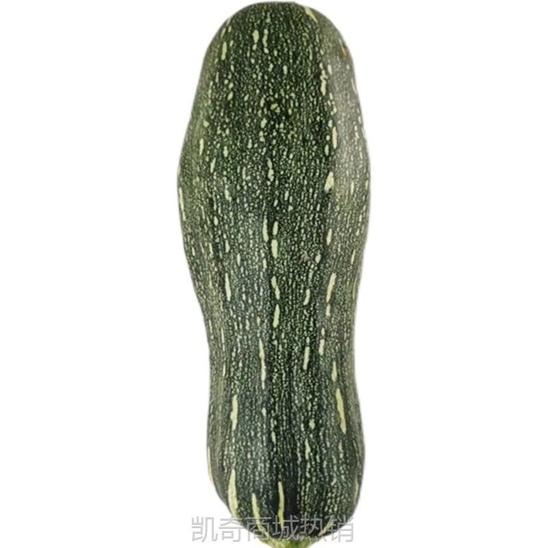 当季嫩南瓜新鲜长南瓜蔬菜黑窝瓜菜南瓜炒菜青窝瓜绿南瓜现摘整箱