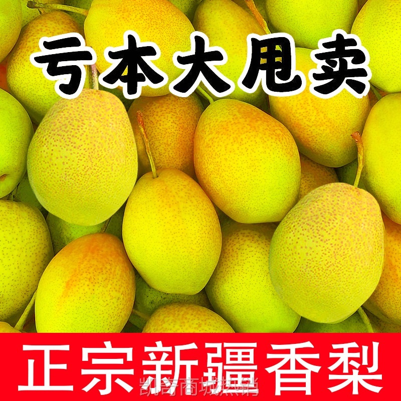正宗新疆库尔勒香梨新鲜水果梨子3/5/10斤薄酥梨应季红香酥整箱批