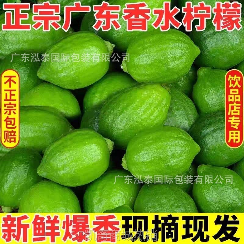 香水柠檬正宗广东香水柠檬现摘香水柠檬柠檬茶专用奶茶店饮品店用