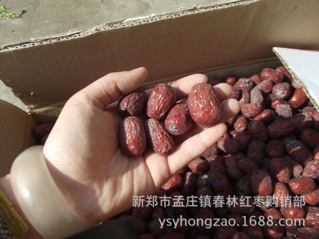 照片 038