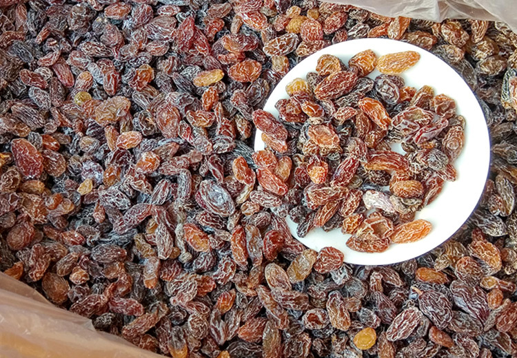 xiangq奶油葡萄干—6