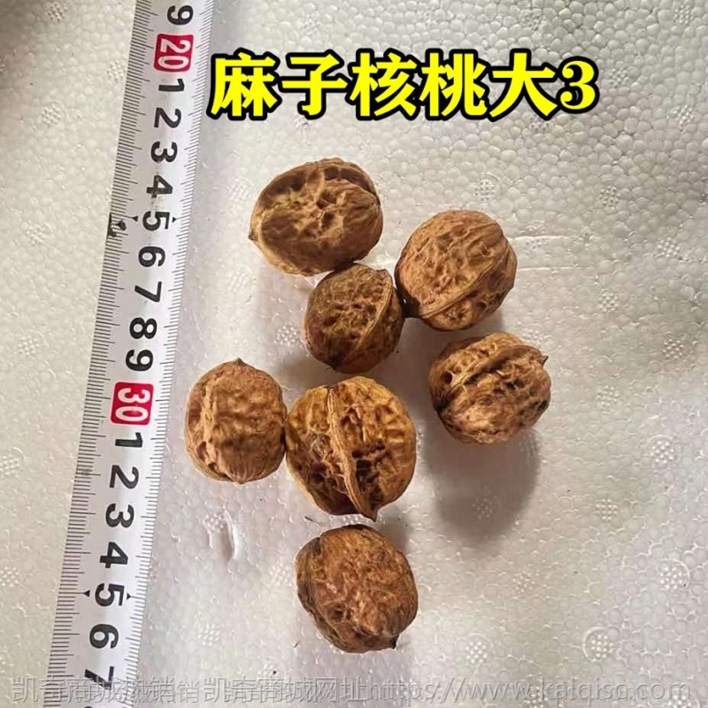 2021年新货核桃 薄皮干核桃 云南麻子核桃 大优核桃 新疆核桃