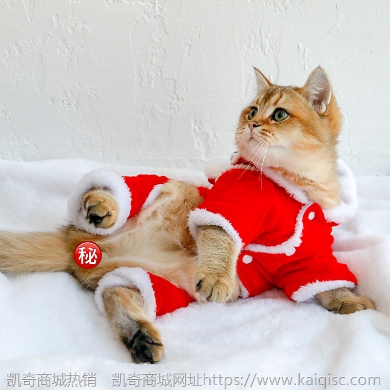 舞狮子狗狗拜年衣服四脚猫搞笑比熊泰迪宠物搞怪新年装过年喜庆冬