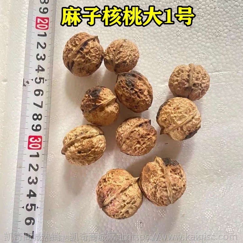 2021年新货核桃 薄皮干核桃 云南麻子核桃 大优核桃 新疆核桃