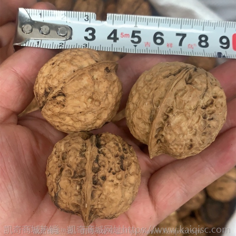 2021年新货核桃 薄皮干核桃 云南麻子核桃 大优核桃 新疆核桃
