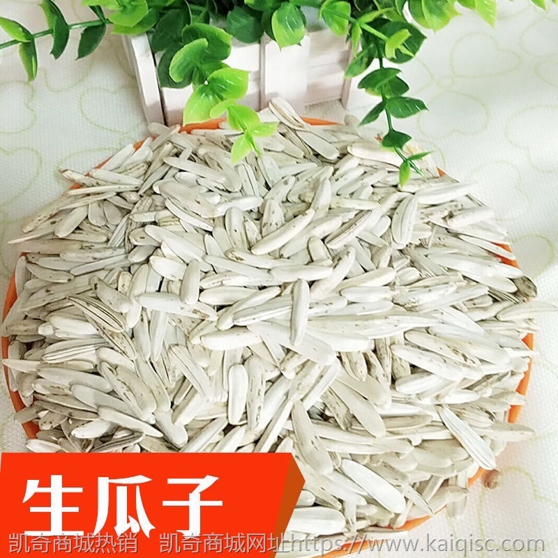 牙签瓜子新疆特产牙签马牙葵花籽葵生瓜子白皮新货皮薄仁酥批发