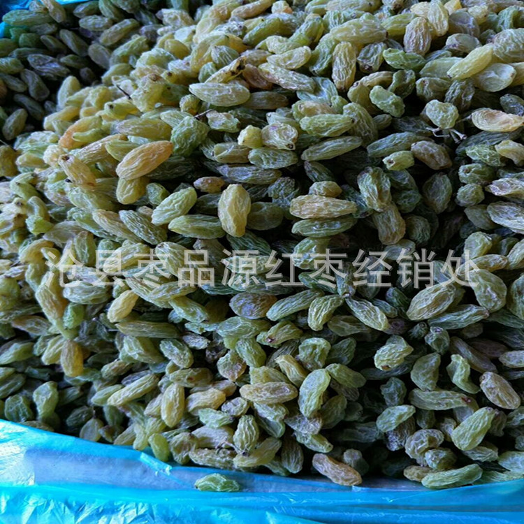 批发新疆特产葡萄干吐鲁番无籽绿葡萄500g中颗粒风干绿葡萄干散装