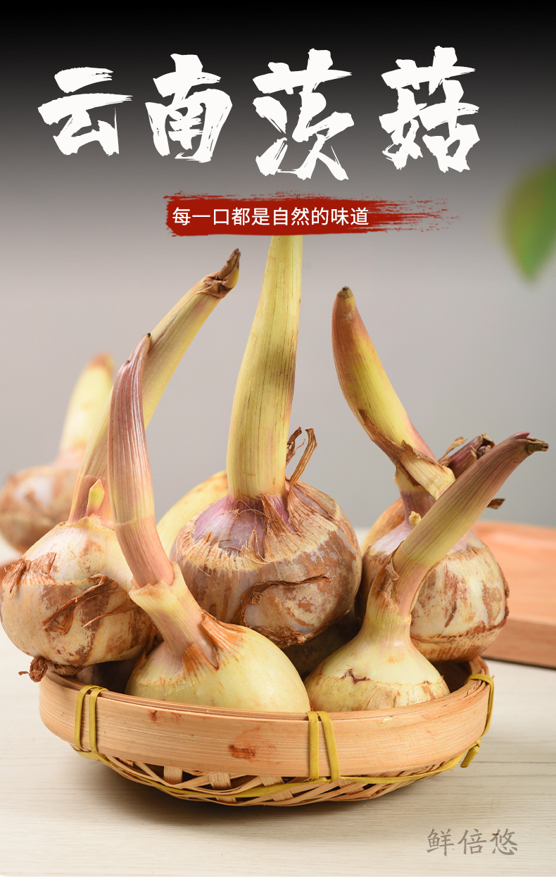 茨菇详情_01.jpg