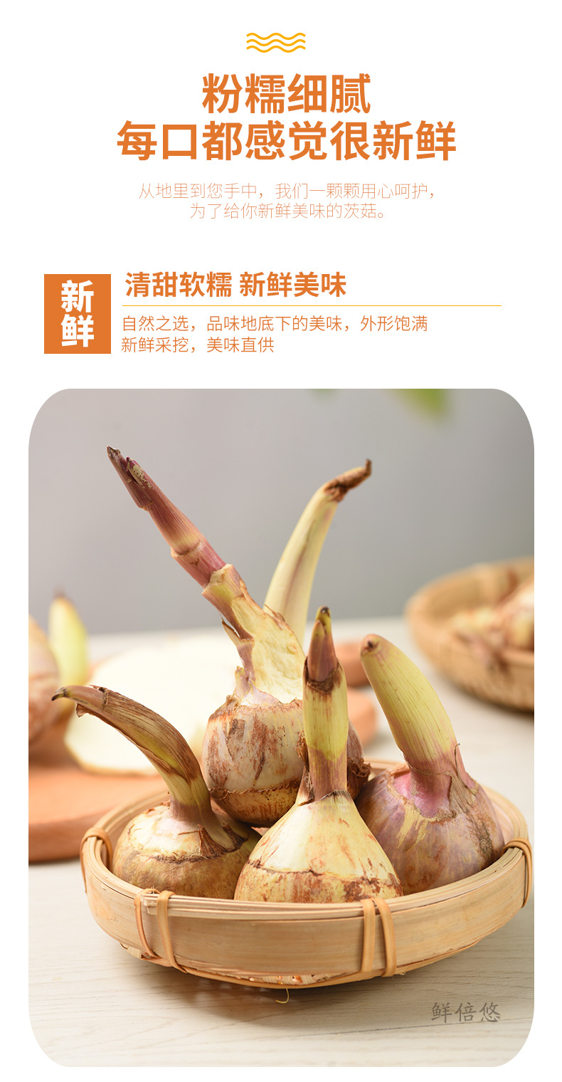 茨菇详情_03.jpg