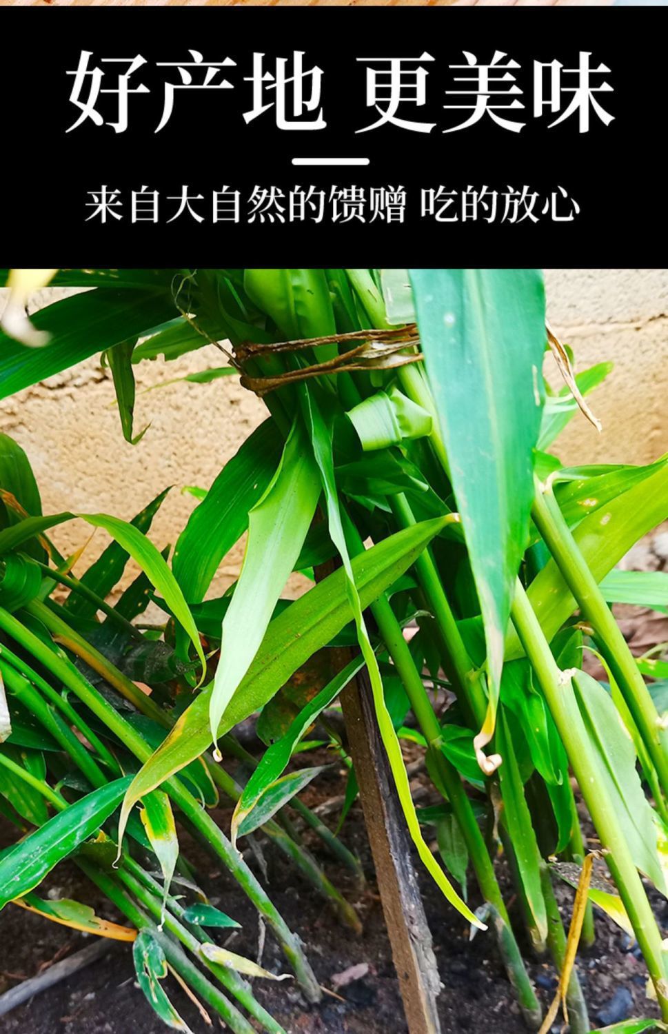 247e93ee40f6af882d39b7a4a52abbc2.jpeg