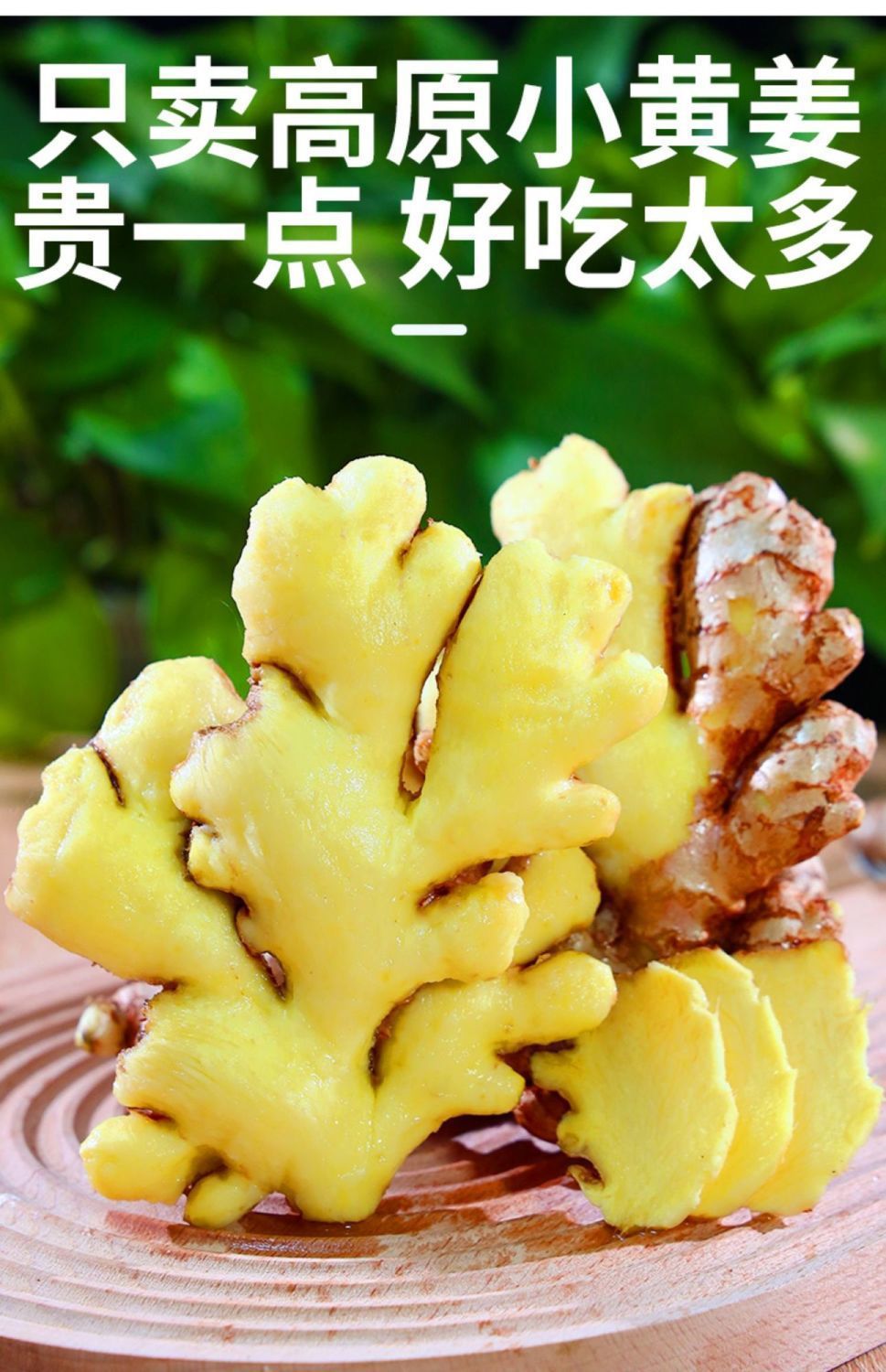 f26c70767fa98f87cbfa79761aae8b6a.jpeg