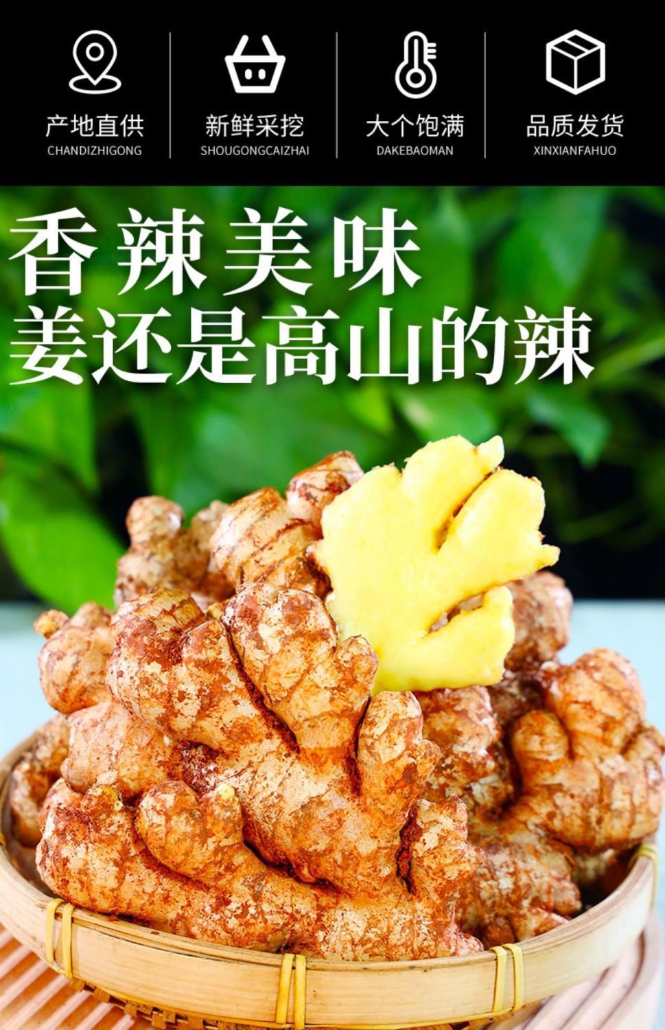 29d83ea31184a9eb483041c9c5a94e33.jpeg