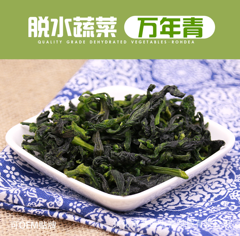 万年青详情_01.jpg