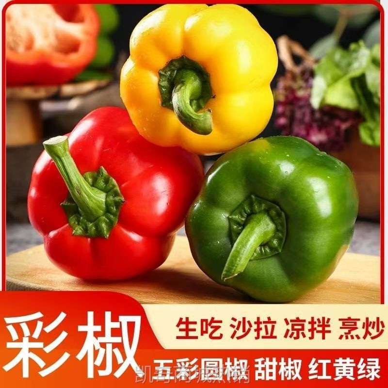新鲜彩椒五彩椒当季现摘圆椒绿青椒灯笼甜椒新鲜蔬菜包邮可选顺丰