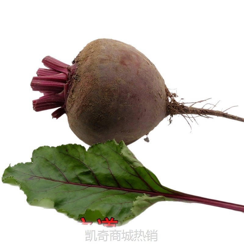 甜菜根新鲜现挖5斤甜菜头紫菜头红甜菜农产品蔬菜红菜头包邮散装