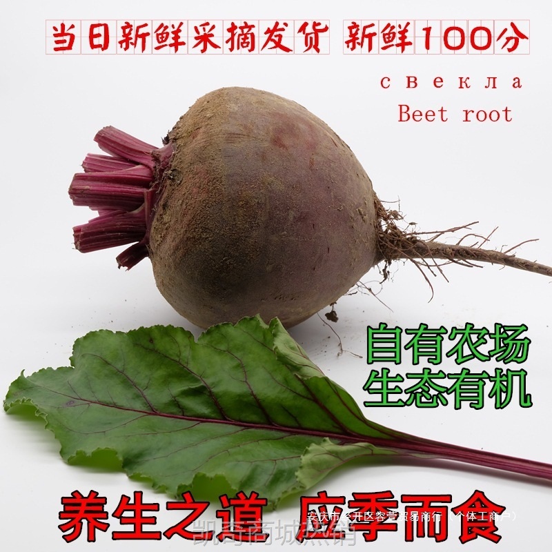 甜菜根新鲜现挖5斤甜菜头紫菜头红甜菜农产品蔬菜红菜头包邮散装