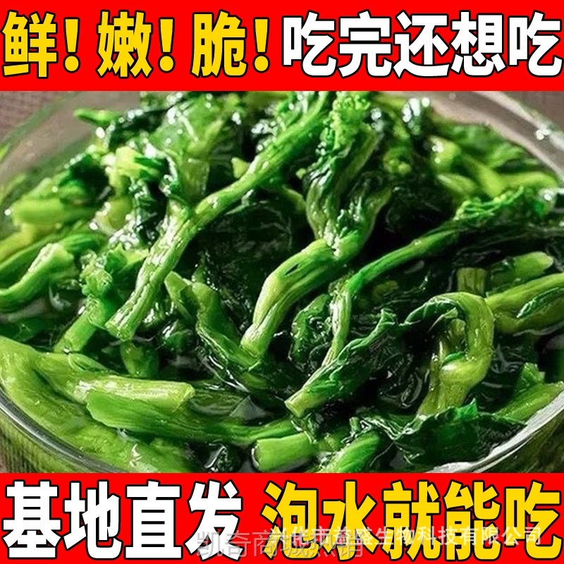 脱水蔬菜万年青菜芯干脱水菜心小白菜青菜干方便食品菜包配料泡面
