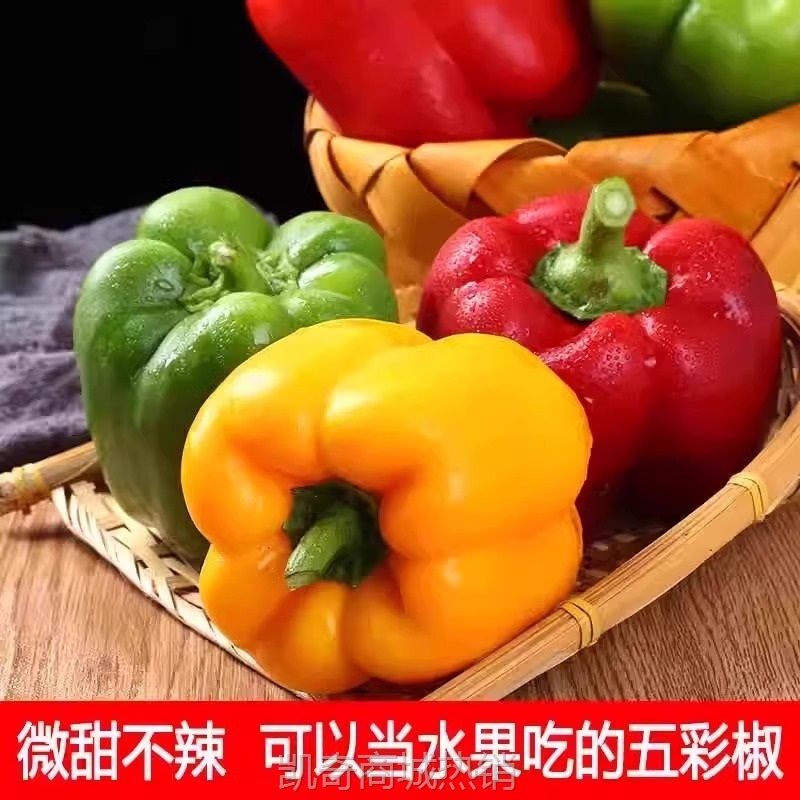 新鲜彩椒五彩椒当季现摘圆椒绿青椒灯笼甜椒新鲜蔬菜包邮可选顺丰
