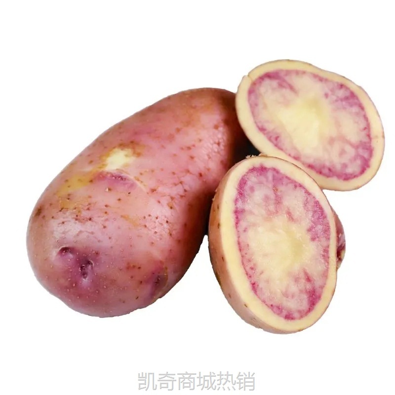 云南七彩土豆产地直发当季红心土豆包邮新鲜蔬菜红心土豆一件代发