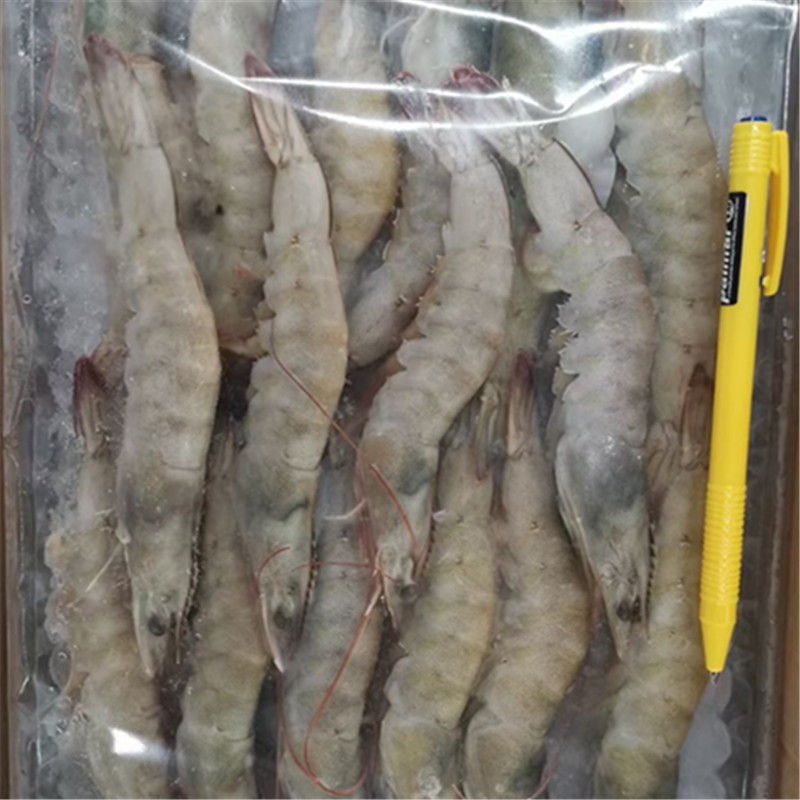 【精选大海虾 】海虾口味鲜美、营养丰富、可制多种佳肴的海味，有菜中之"甘草"的美称，肉质Q弹  规格：2.5kg/件（每件4板，一板16条）